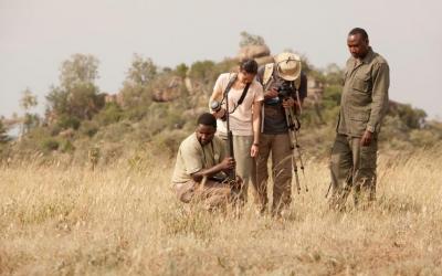 Tanzania | NP Serengeti