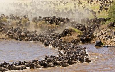 Masai Mara NP | Keňa