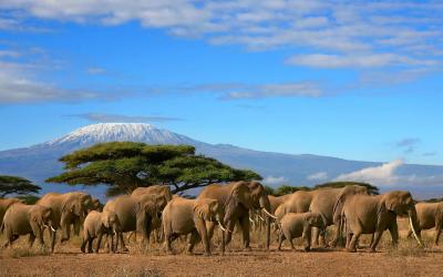 Tanzania | Serengeti NP