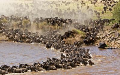 Keňa | Masai Mara NP