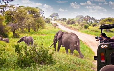 Tanzania | Serengeti NP