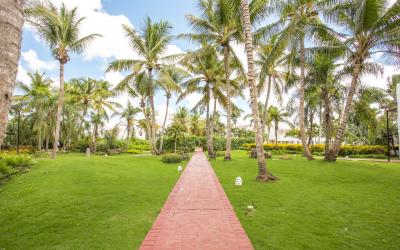 BLC Canoa Exterior__2