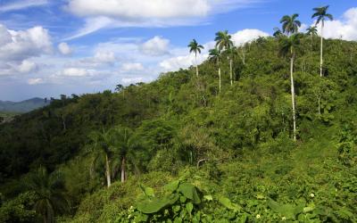 Escambray Mountains | KUba