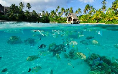 intercontinental_bora_bora_resort__thalasso_spa_3.7