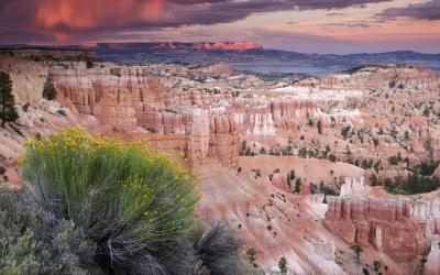 USA | Bryce Canyon NP