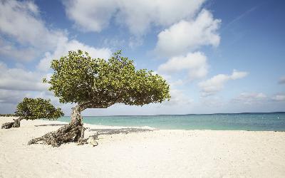Gallery-Aruba-06