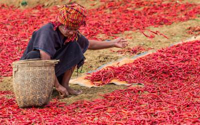 Myanmar | Kalaw