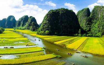 Vietnam | Ninh Binh 