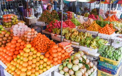 battambang trh s ovocem