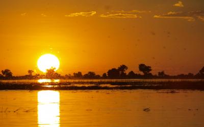 Botswana | Chobe NP - safari v člunu