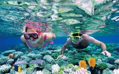 snorkeling tour