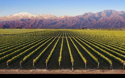 Argentína | Mendoza 