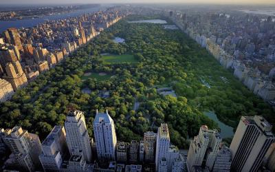 USA | New York - Central Park