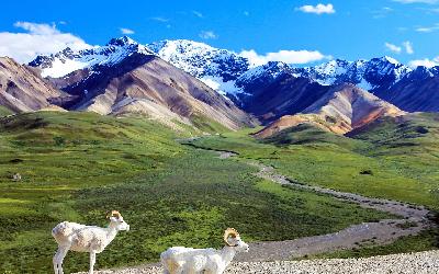 USA | Denali NP 