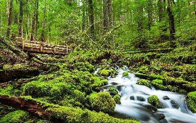 USA | Olympic NP