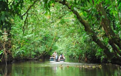 Kostarika | Tortuguero National Park 