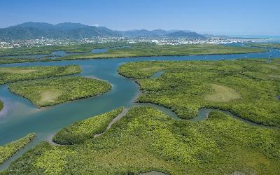 Australia | Daintree River 