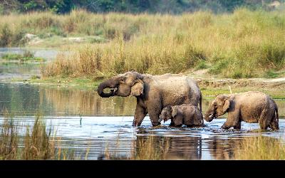 Nepál | Chitwan National Park