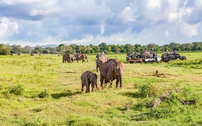 Botswana | Hwange NP