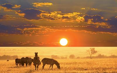 Namíbia | Etosha NP