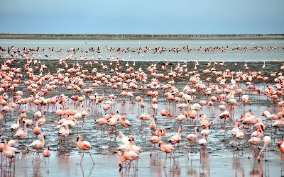 Namíbia | Walvis Bay