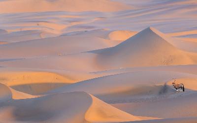Namíbia | Namib Desert 