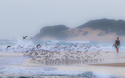 Mozambik | Machangulo Beach Resort 