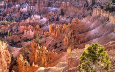 USA | Bryce Canyon NP