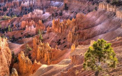 USA | Bryce Canyon NP