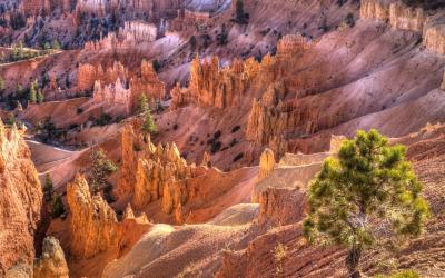 Bryce Canyon NP