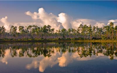 USA | Evereglades NP