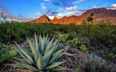 USA | Big Bend NP