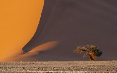 Sossusvlei & Dead Vlei