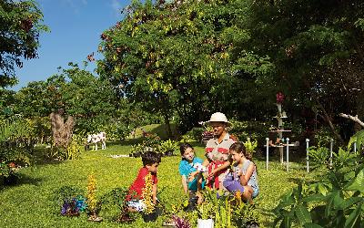 Activities in botanical Garden