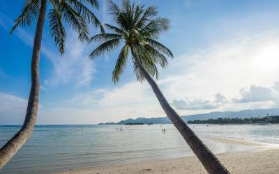 beach front