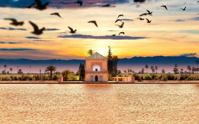 Zahrady Menara | Marrakech
 | Maroko