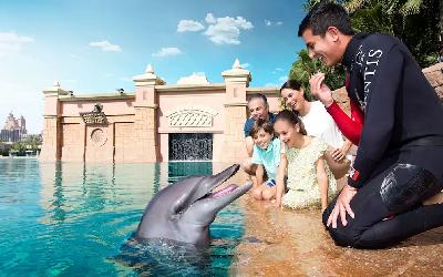 Dolphin Pavillion