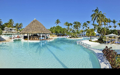 Pool with pool bar