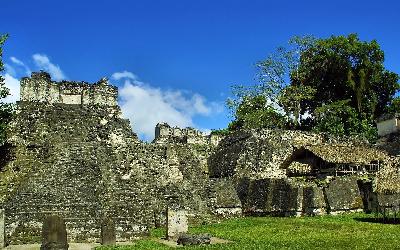 _tikal_guatemala-1427481_1920