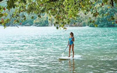Stand - Up Paddle Board