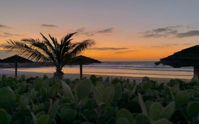 ajman-hotel-beach-after-sunset_orig