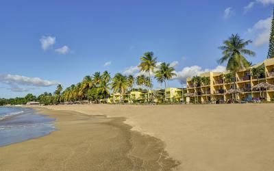 Starfish_Tobago_Beach_LR_0009