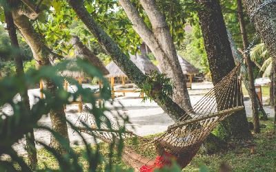 Hammock in the Coconut Grove