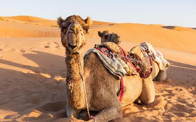 Oman_AdobeStock_176723620