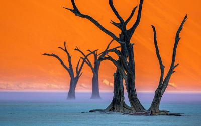 Namibie | Sossuvlei & Deadvlei