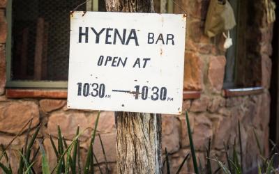 Zimbabwe | Hyena Bar