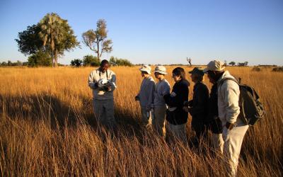 Botswana | Camp Okavango