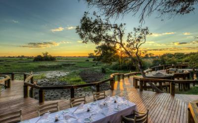 Botswana | Camp Okavango