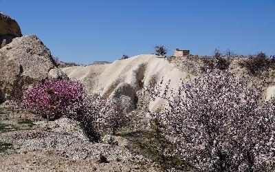 Cappadocia Ürgüp