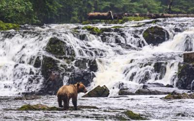 OCI_Alaska_Inside Passage 01